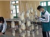 Vẻ đẹp của những phép đo sáng tạo 